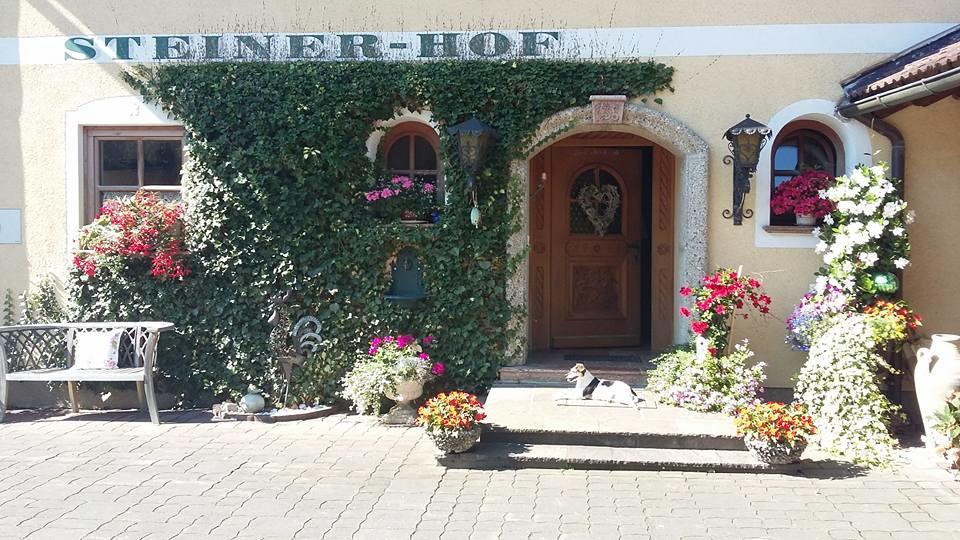 זלצבורג Gaestehaus Steinerhof מראה חיצוני תמונה